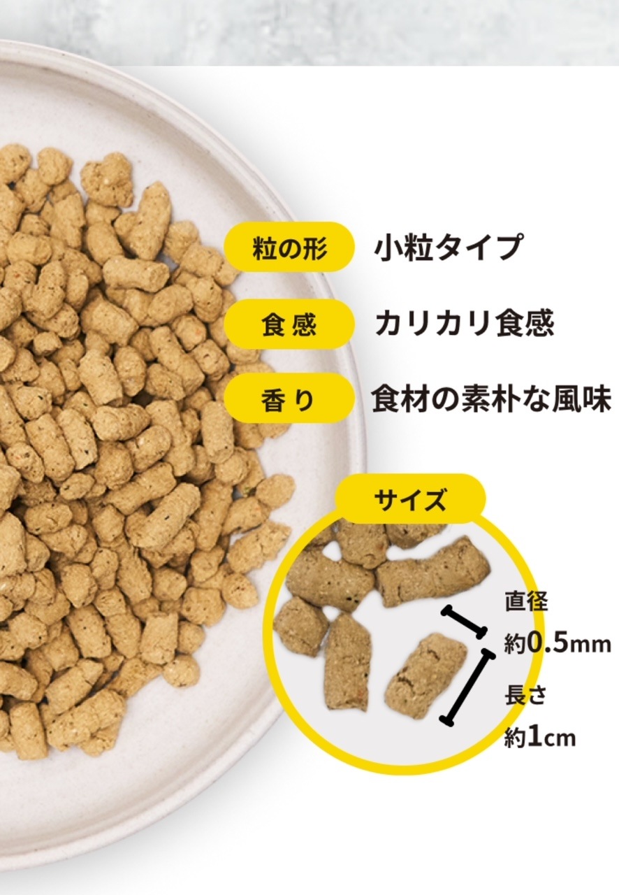 DOG TREEȤ25Τࡡ600