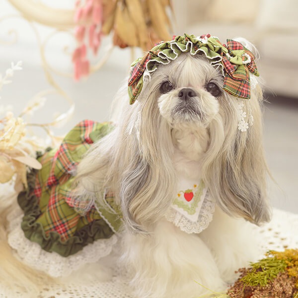 &#9825;&#9825;CanNana&#9825;&#9825;HD-031åإåɥɥ쥹