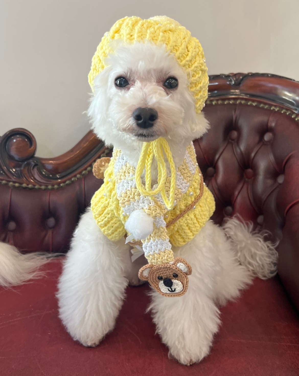 24thAnniversaryۣknitޥ߻٥å&#128059;Ver&#128059;