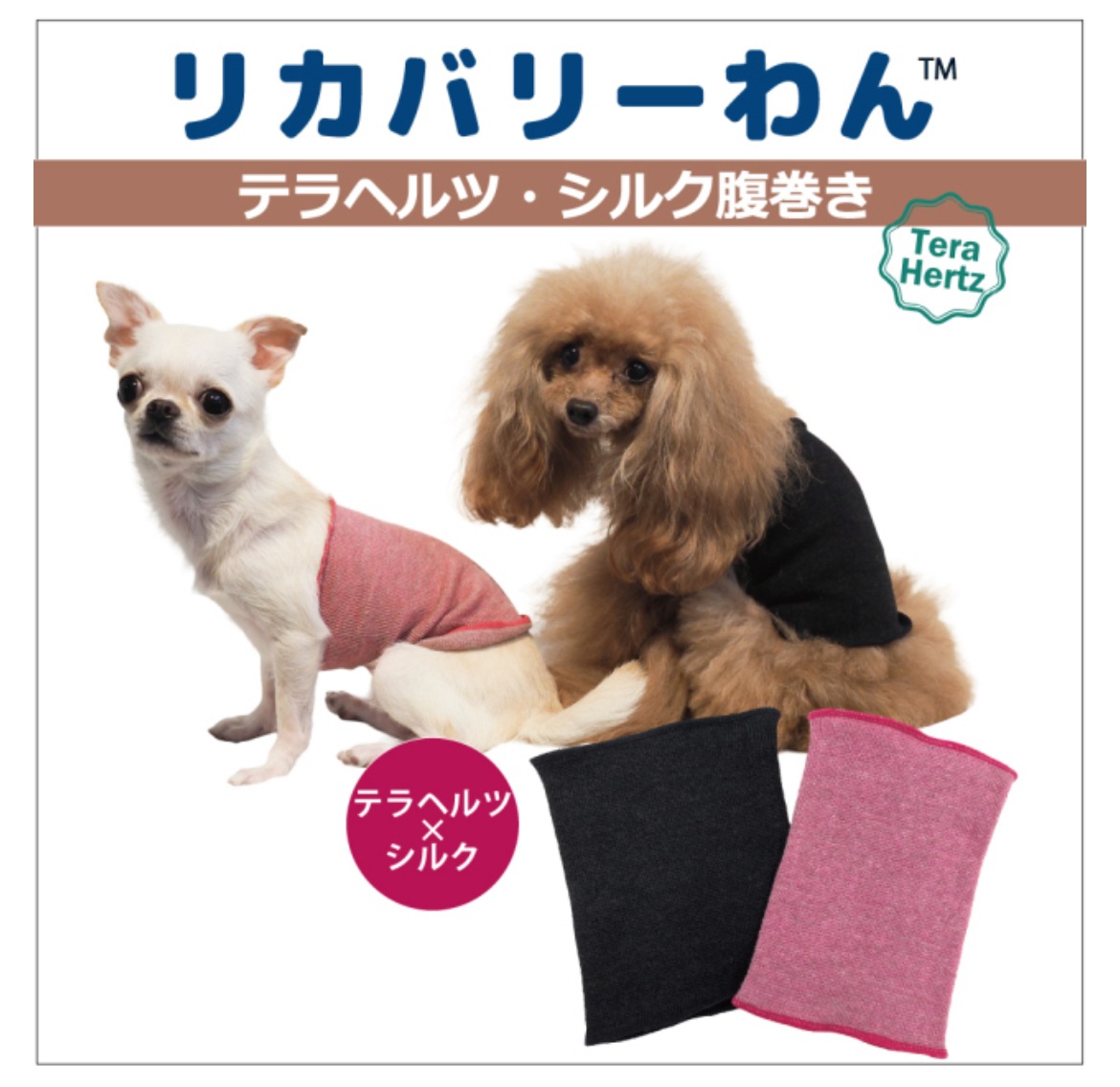 ���������塼�롡�ƥ�إ�ĥ�󡦥��륯ʢ����