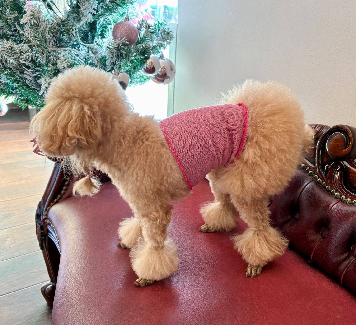 ���������塼�롡�ƥ�إ�ĥ�󡦥��륯ʢ����