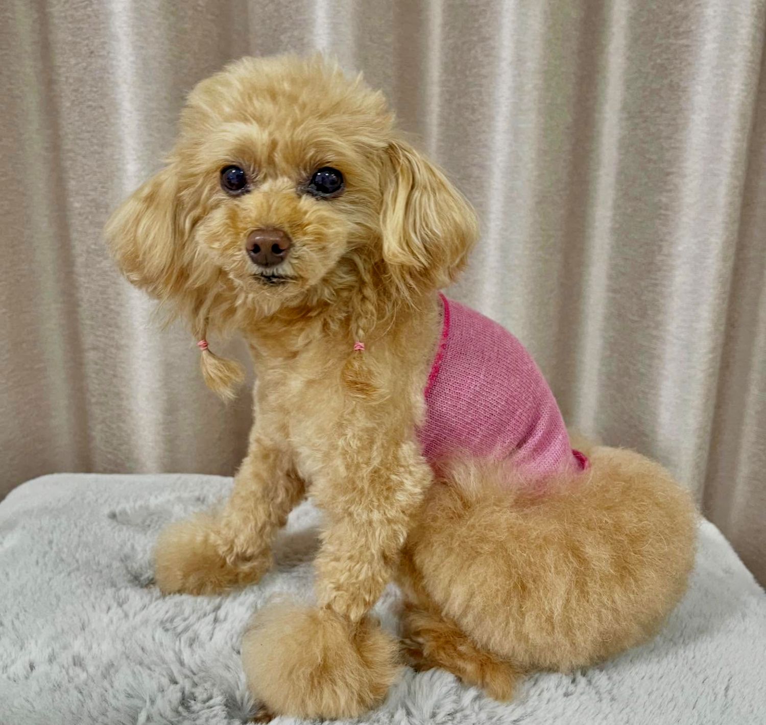 ���������塼�롡�ƥ�إ�ĥ�󡦥��륯ʢ����