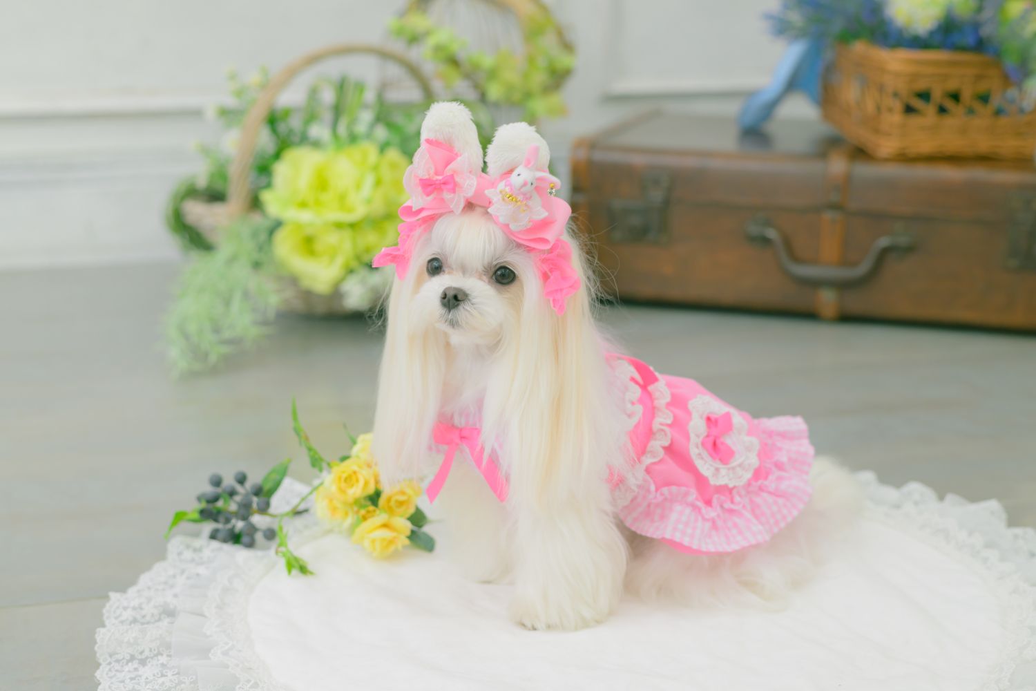��CanNana�ۡ�LB-327�������ǥ������塼����Х�å���ܥ�