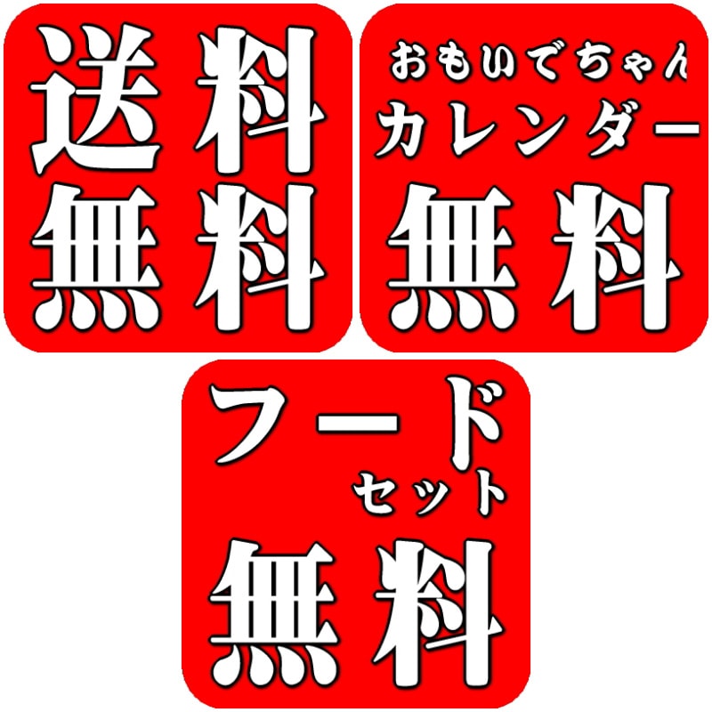 お宮参り着物正絹（初着・産着）女児G3-21 花車に蝶々・華柄 赤地