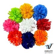 Varsity �ե��󥬡��ݥ�