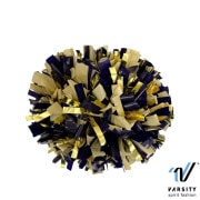 Varsity �ӥˡ���ѡ��ץ�ߥӥˡ���٥���������ɡߥ᥿��å�������� �ݥ�