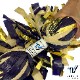 Varsity �ӥˡ���ѡ��ץ�ߥӥˡ���٥���������ɡߥ᥿��å�������� �ݥ�
