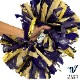 Varsity �ӥˡ���ѡ��ץ�ߥӥˡ���٥���������ɡߥ᥿��å�������� �ݥ�