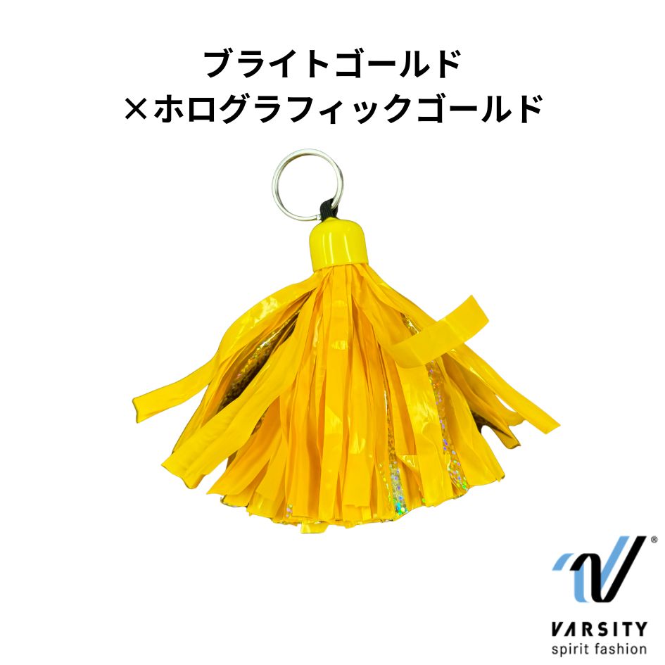Varsity �ݥ󥭡���������