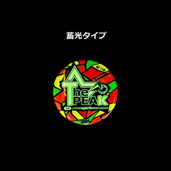 ��SALE��USA The PEAK 2024 �̥Хå�