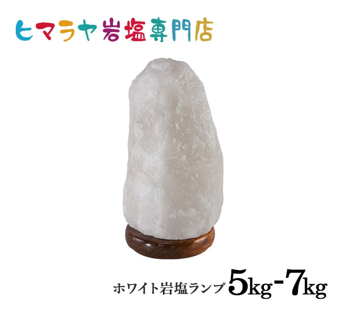 �ʥ�����������5-7kg �ʥۥ磻�ȡˡʥ���ȥ��ס� ���� �ŵ�������� ��ʪ ��� ���ܾ��� ������� ������� ��͵� ŷ�� �ơ��֥���� ������ɥ饤�� ���� ��ӥ� �ܤ�ͥ����