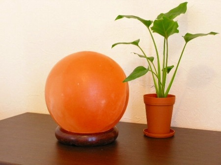 �ܡ��뷿�������