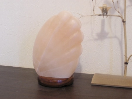 ������������