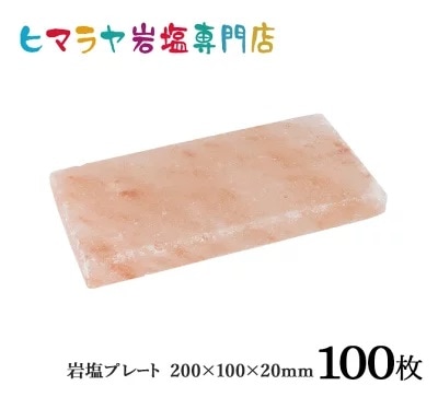 ��̳�ѡ�����ץ졼����200��100��20mm 100��