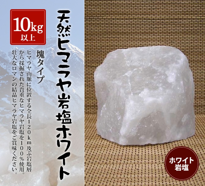 �ۥ磻�ȴ���� 10kg�ʾ�β�