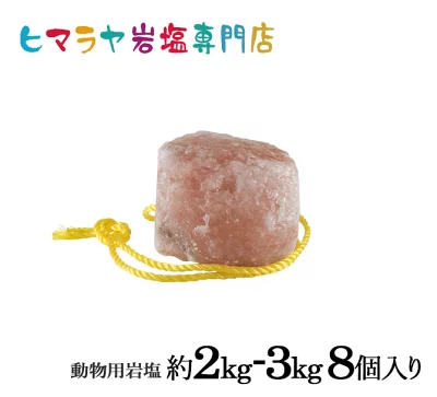 ��̳�ѡ�ưʪ�Ѵ��(�ϡ������ӡ���������)��2��3kg 8�ġ��� �� �� �䥮 �� ưʪ �������̤ˡ�Ǯ��� �� ��ʬ �ߥͥ�� ��ʬ���