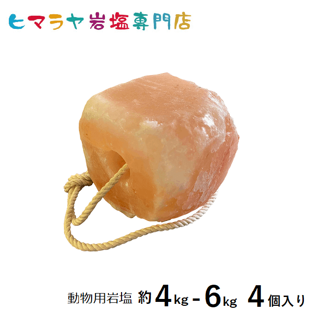 ưʪ�Ѵ��(�ϡ������ӡ���������)��4��6kg 4�ġ��� �� �� �䥮 �� ưʪ �������̤ˡ�Ǯ��� �� ��ʬ �ߥͥ�� ��ʬ���