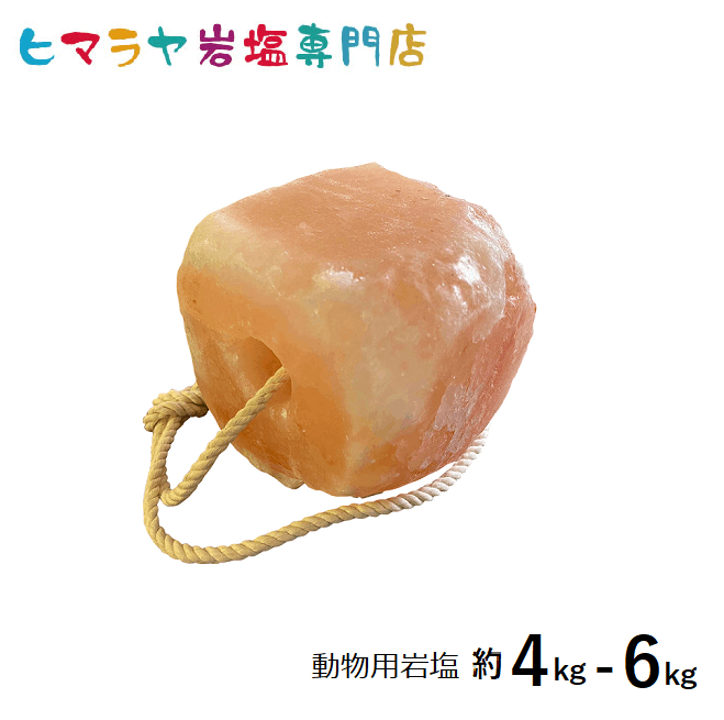 ưʪ�Ѵ��(�ϡ������ӡ���������)��4��6kg �� �� �� �䥮 �� ưʪ �������̤ˡ�Ǯ��� �� ��ʬ �ߥͥ�� ��ʬ���