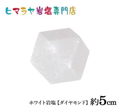 ۥ磻ȴڥɡ 5cm ŷ å ѥȡ      ŷ ʪ  ƥꥢ ҥޥ 