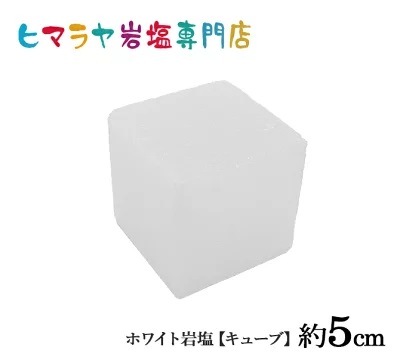 �ۥ磻�ȴ���ڥ��塼�֡� ��5cm ŷ�� �ѥ���ȡ��� ����� ���� ���� ���� ������ ŷ���� ��ʪ ���� ����ƥꥢ �ҥޥ���� ������å������  