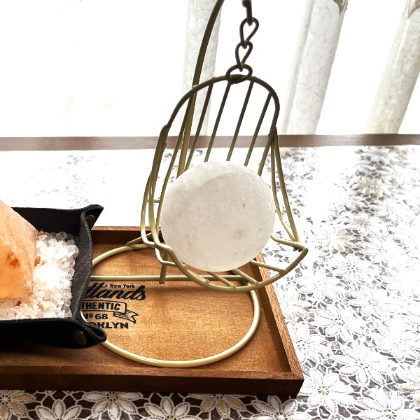 ۥ磻ȴڥܡ 5cm  ŷ å ѥȡ      ŷ ʪ  ƥꥢ ҥޥ  