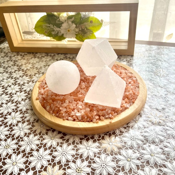 ۥ磻ȴڥܡ 5cm  ŷ å ѥȡ      ŷ ʪ  ƥꥢ ҥޥ  