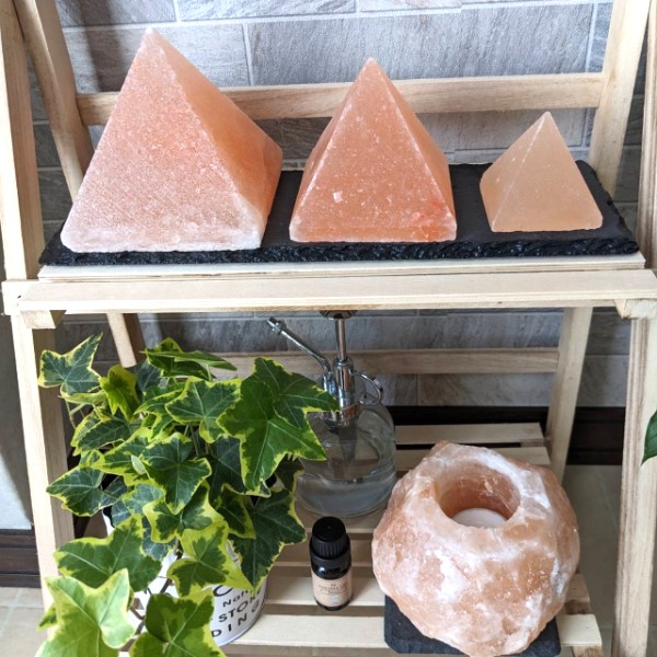 �ԥ�ߥåɷ��������� �⤵��8cm ŷ�� ���å������ �ѥ���ȡ��� ����� ���� ���� ���� ������ ŷ���� ��ʪ ���� ����ƥꥢ �ҥޥ���� ��� 