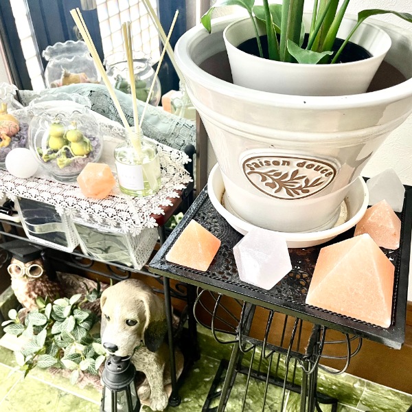 �ԥ�ߥåɷ��������� �⤵��8cm ŷ�� ���å������ �ѥ���ȡ��� ����� ���� ���� ���� ������ ŷ���� ��ʪ ���� ����ƥꥢ �ҥޥ���� ��� 