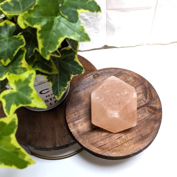 ��������ɷ���� ��5cm ŷ�� �ѥ���ȡ��� ����� ���� ���� ���� ������ ŷ���� ��ʪ ���� ����ƥꥢ �ҥޥ���� ��� ���å������