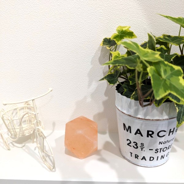 ��������ɷ���� ��5cm ŷ�� �ѥ���ȡ��� ����� ���� ���� ���� ������ ŷ���� ��ʪ ���� ����ƥꥢ �ҥޥ���� ��� ���å������