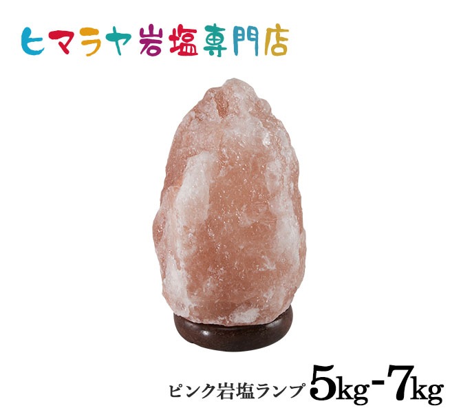 �ʥ�����������5-7kg�ʥ���ȥ��ס� ���� �ŵ�������� ��ʪ ��� ���ܾ��� ������� ������� ��͵� ŷ�� �ơ��֥���� ������ɥ饤�� ���� ��ӥ� �ܤ�ͥ����