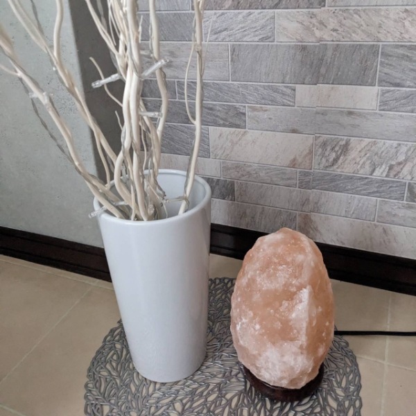 �ʥ�����������5-7kg�ʥ���ȥ��ס� ���� �ŵ�������� ��ʪ ��� ���ܾ��� ������� ������� ��͵� ŷ�� �ơ��֥���� ������ɥ饤�� ���� ��ӥ� �ܤ�ͥ����