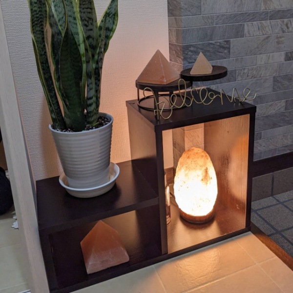 �ʥ�����������5-7kg�ʥ���ȥ��ס� ���� �ŵ�������� ��ʪ ��� ���ܾ��� ������� ������� ��͵� ŷ�� �ơ��֥���� ������ɥ饤�� ���� ��ӥ� �ܤ�ͥ����