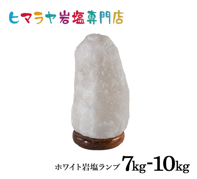 �ʥ�����������7-10kg �ʥۥ磻�ȡˡʥ���ȥ��ס� ���� �ŵ�������� ��ʪ ��� ���ܾ��� ������� ������� ��͵� ŷ�� �ơ��֥���� ������ɥ饤�� ���� ��ӥ� �ܤ�ͥ����