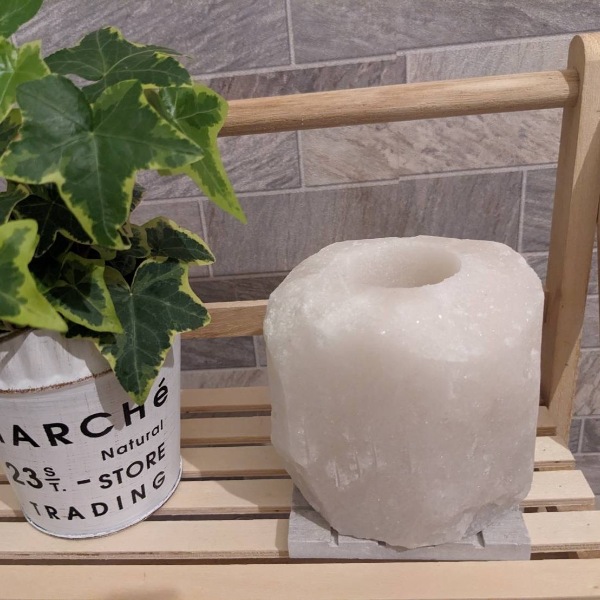 �ʥ������������ɥ�ۥ����1.5-2kg�ʥۥ磻�ȡ�