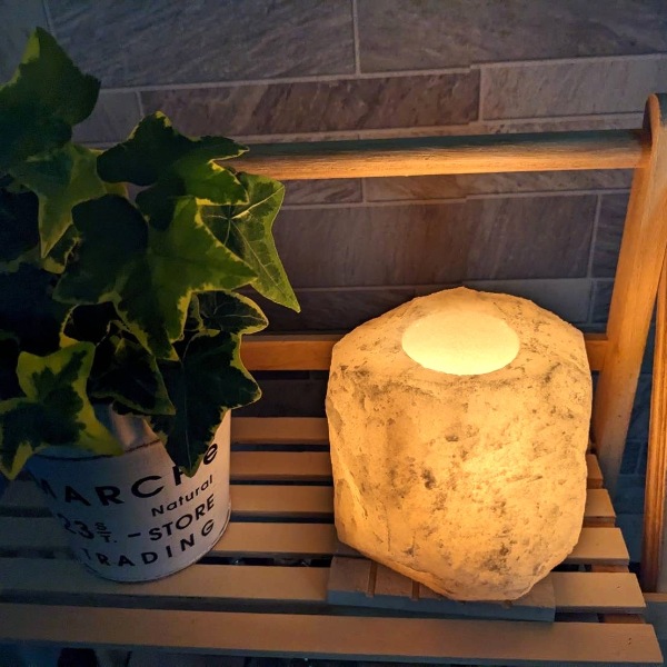 �ʥ������������ɥ�ۥ����1.5-2kg�ʥۥ磻�ȡ�