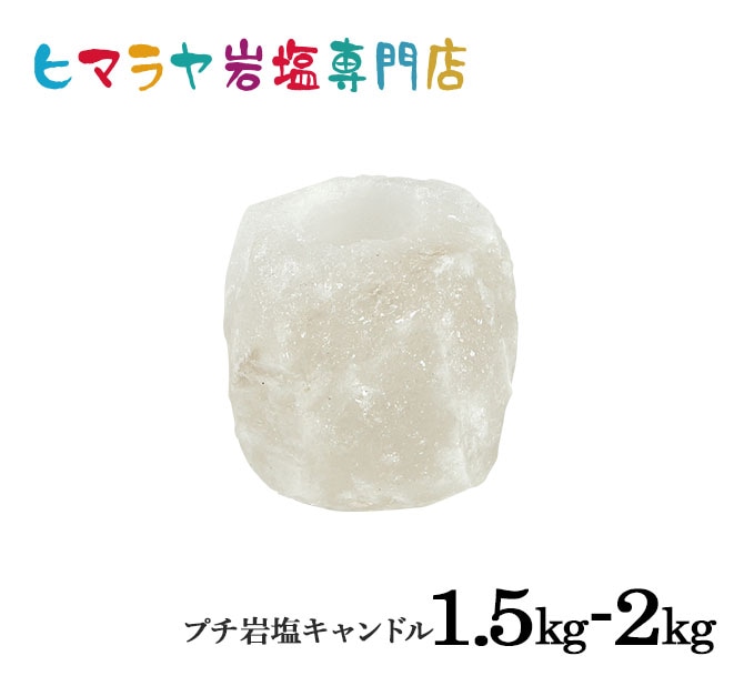 �ʥ������������ɥ�ۥ����1.5-2kg�ʥۥ磻�ȡ�