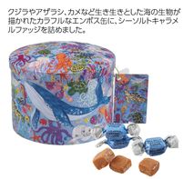 ガーディナーズ　 イントゥーザブルー缶　 シーソルトキャラメルファッジ