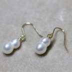 �ĥ���ѡ���ԥ��� P-01