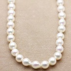 ̵Ĵ�������俿��Х��å��ͥå��쥹��New)��N-01 85���