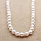 �����俿��ߥХ��å��ͥå��쥹 N-05 87cm (8.0��8.5����)