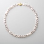 �إ�ơ����ͥå��쥹HTP001 8.0��8.5����