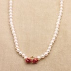 ��������ץ��N-15�Х�