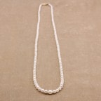 �����俿���ǡ��������󥰥ͥå��쥹N-03/72��