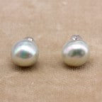 �����俿��ʥ�����֥롼�Х��å��ԥ���P-01/��������