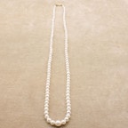 �����俿���ǡ��������󥰥ͥå��쥹N-04/60��