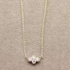 �Υ磻��ͥå��쥹��N-13������