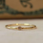 �Υ磻���󥰡�R-04�֥饦�������