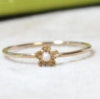 ����� �ɥ� �ե졼����R-02