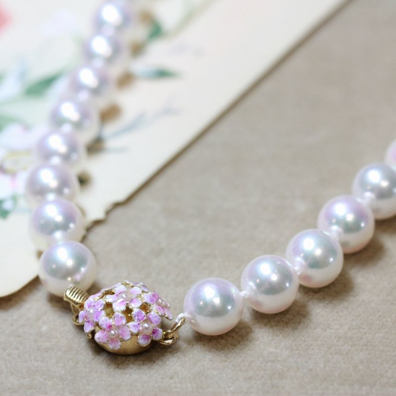 ��������ץ�ޥͥå��쥹��N-07˺�����Υɡ���